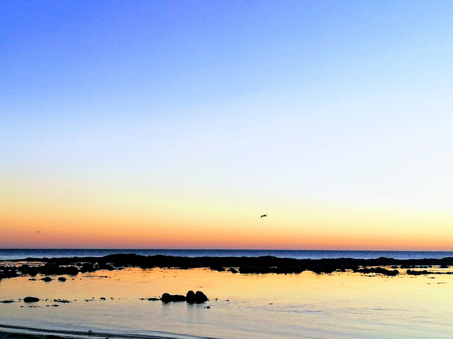 0 Bedroom Property for Sale in Steenbergs Cove Western Cape